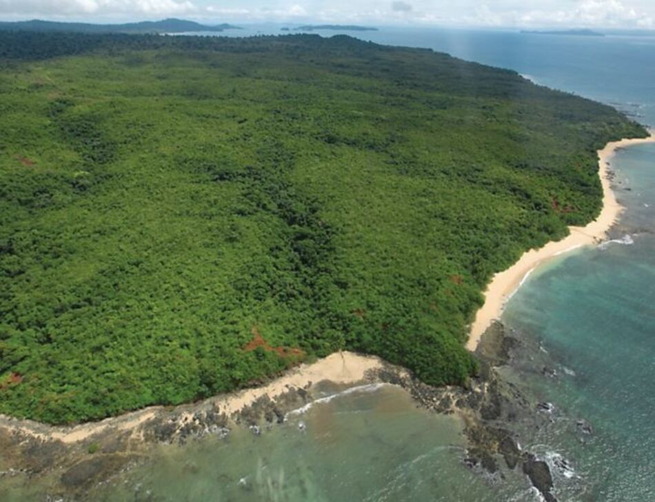 Miembros del Consejo de Coiba solicitan mayor transparencia