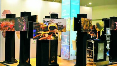 Una muestra de arte y ciencia