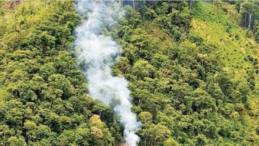 Deforestación de la Amazonía brasileña aumenta más del doble en un año