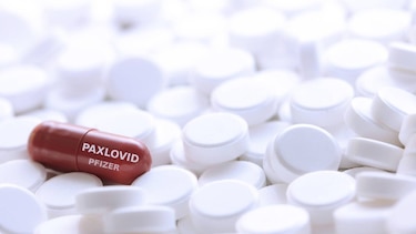 Panamá ya dispone de los antivirales para la covid-19: paxlovid y molnupiravir