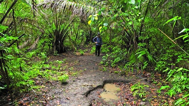 Por la ruta Gorgona