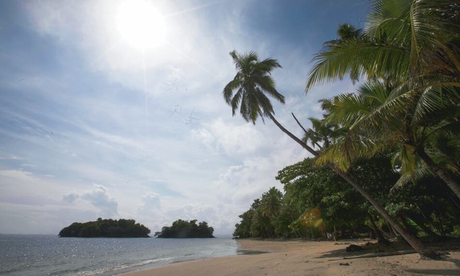 Entran en análisis  reformas  a la ley de incentivos  fiscales 