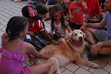 Lo que debes saber sobre el encendido navideño en Town Center Costa del Este