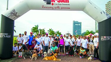 Nestlé Purina apoya a K-Sar
