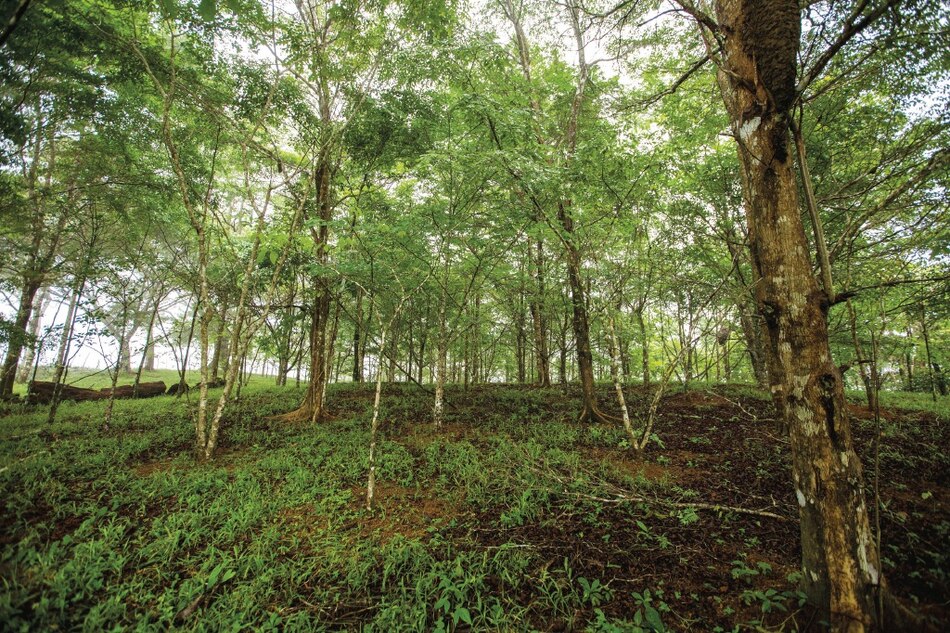 Fuentes de agua dulce en paisajes degradados