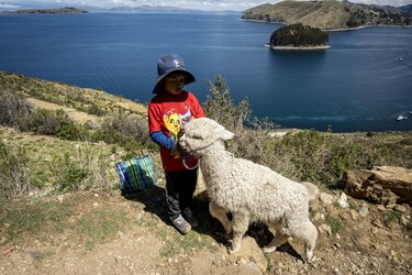 Amanecer en la Isla del Sol, Bolivia