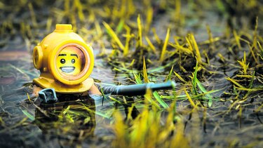 Un ‘photowalk’ en miniatura