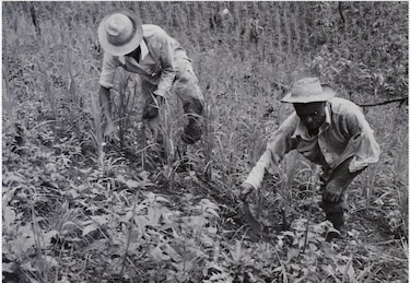 Prince Bustamante y el espíritu que deslenguaba novillos