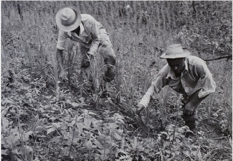 Prince Bustamante y el espíritu que deslenguaba novillos