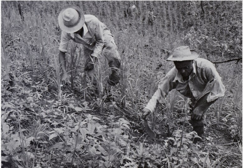 Prince Bustamante y el espíritu que deslenguaba novillos