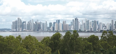 Manglares de Panamá y de todos