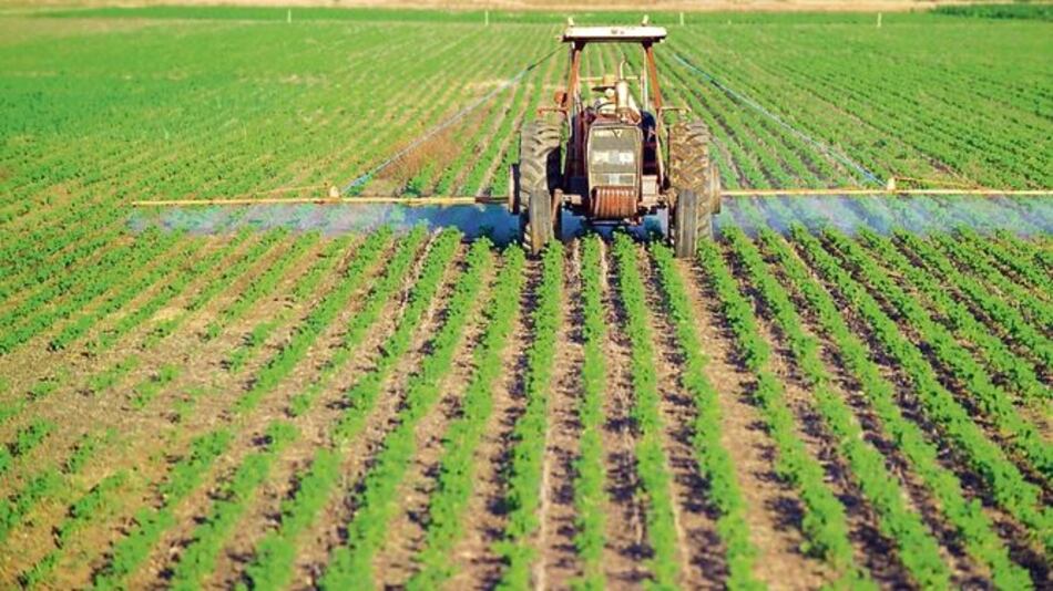 Agricultores aprovechan el clima seco