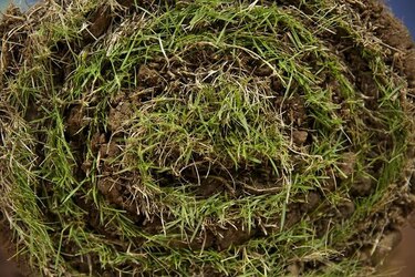 Videoarte 'Bajo la alfombra' invita a no ocultar el pasado incómodo