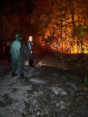 Incendio consume la reserva forestal La Yeguada: más de 100 hectáreas afectadas y una fiscalía abre investigación