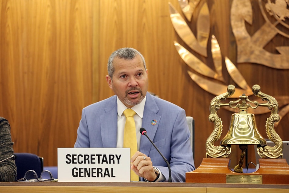 Tensión en el Mar Negro eleva riesgos para la navegación y el comercio marítimo advierte la OMI