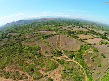 Fincas excarcelarias, un negocio a costa del Estado