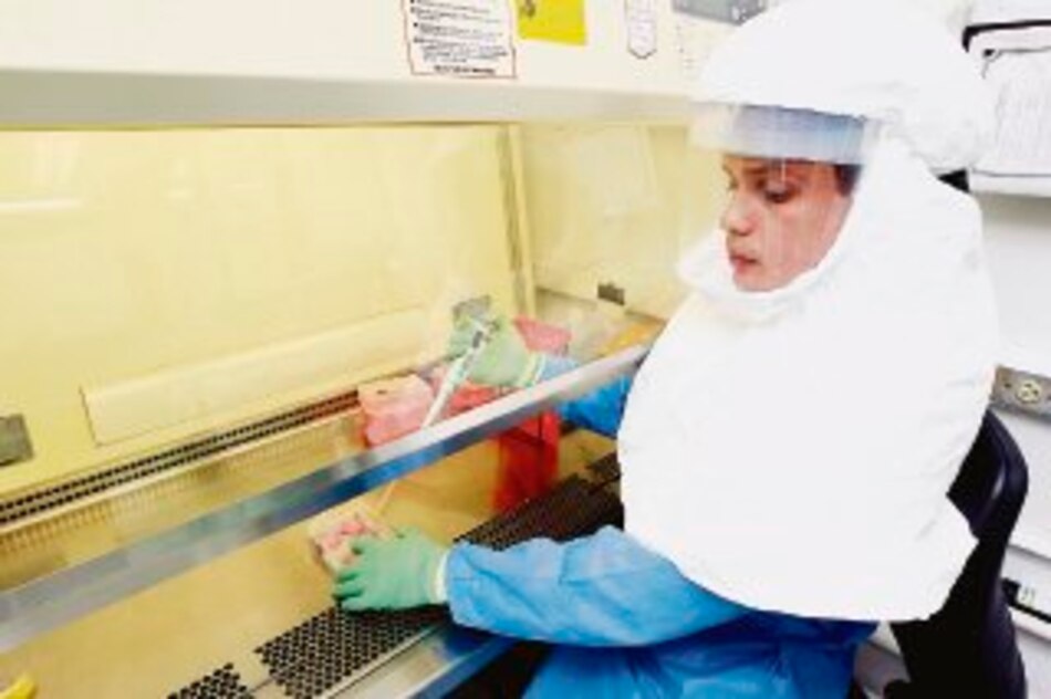 Brote de encefalitis equina del este