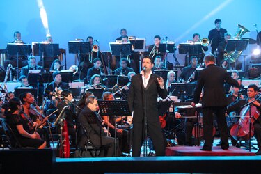 Musicalion 2024, la fiesta de las artes escénicas