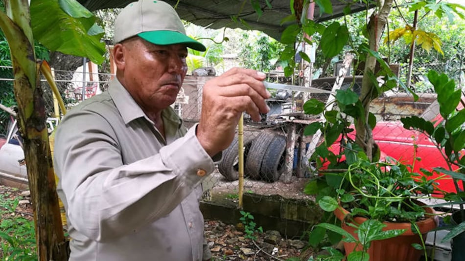 Minsa: 583 casos de dengue en Herrera en lo que va del año 2018