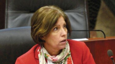 Desacuerdo por ‘Código Ambiental’