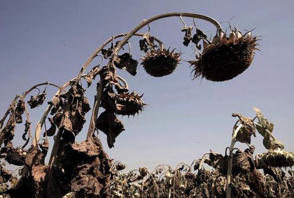 Expertos: Difícil evitar nivel grave de calentamiento global