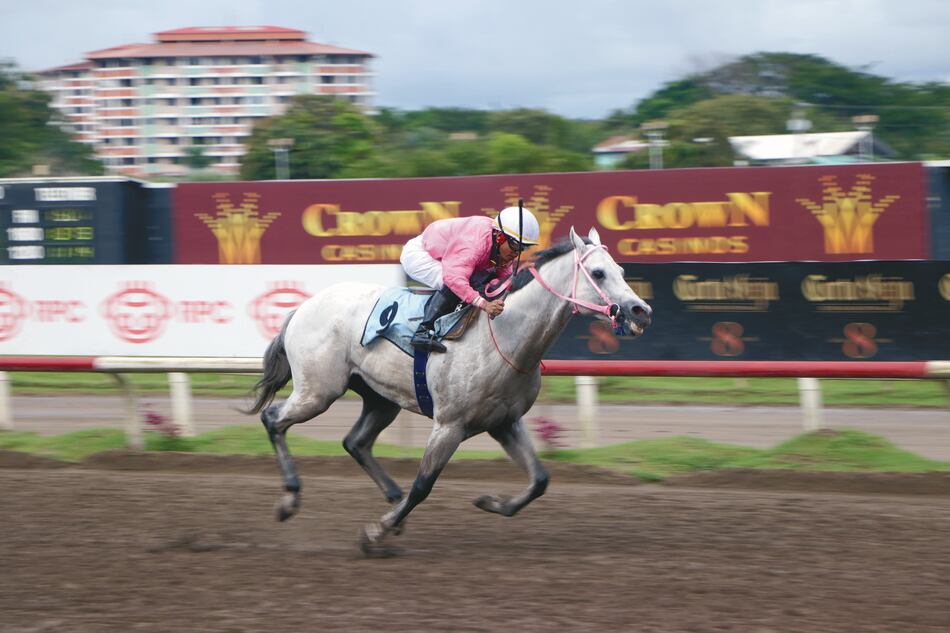 ‘Bravo Ignacio’ gana Clásico Junta de Control de Juegos