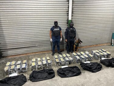 Decomisan 200 paquetes con droga en un puerto del Atlántico