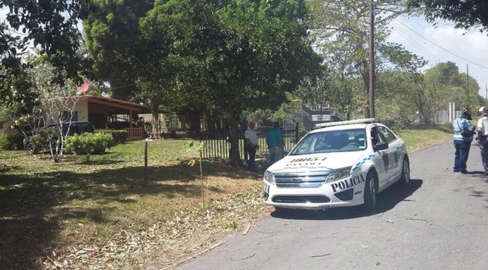 Chiriquí: Hombre de 89 años muere acostado en su hamaca al caerle árbol de mango