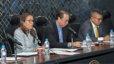 Aprueban en primer debate proyecto de ley sobre los auxilios económicos