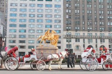 Debate por caballos en Central Park