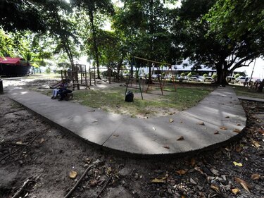 Países latinoamericanos debatirán sobre derecho de acceso a temas ambientales