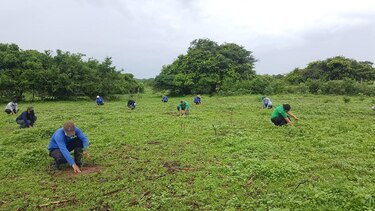 Bajo medidas de bioseguridad celebran el Día Nacional de la Reforestación