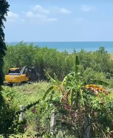 Denuncian ingreso de maquinaria a humedal en San Carlos; Miambiente anuncia inspecciones