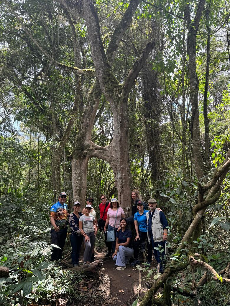 Macizo Colombiano: Un viaje entre paisajes imponentes, historia ancestral y cielos estrellados