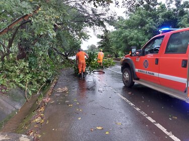 Sinaproc reporta cerca de 200 casas afectadas por las recientes lluvias en diferentes regiones