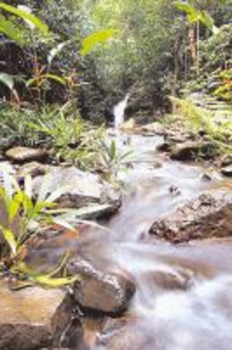 Muy cerca de la naturaleza