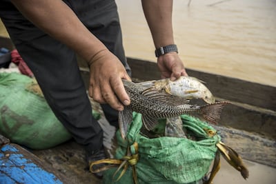 Controlar la contaminación por mercurio, un compromiso global