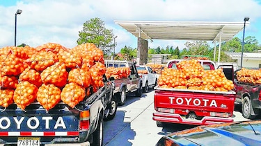 Centros de la Cadena de Frío no cumplen su función