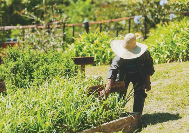 Renace el turismo en Tierras Altas con la economía colaborativa