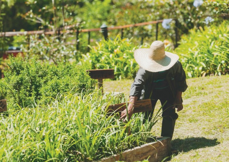 Renace el turismo en Tierras Altas con la economía colaborativa