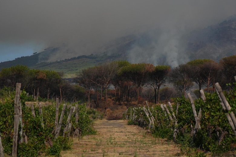 Un gran incendio afecta la ladera del Vesubio, en Nápoles
