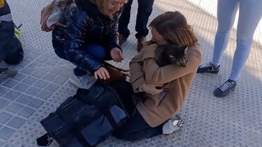Video: Rescatan vivo a un gato tras una semana del incendio de Valencia