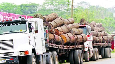Persiste conflicto por el trasiego de madera