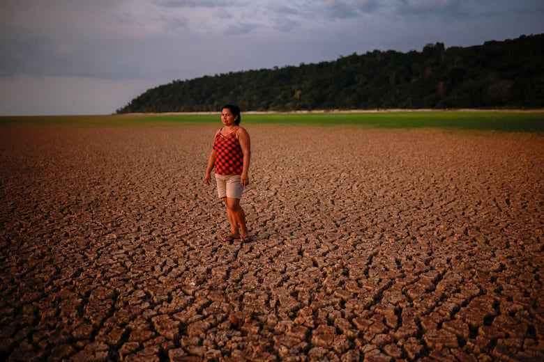 Los gráficos, mapas y fotos que muestran la lenta muerte de la Amazonía y por qué el mundo debería preocuparse