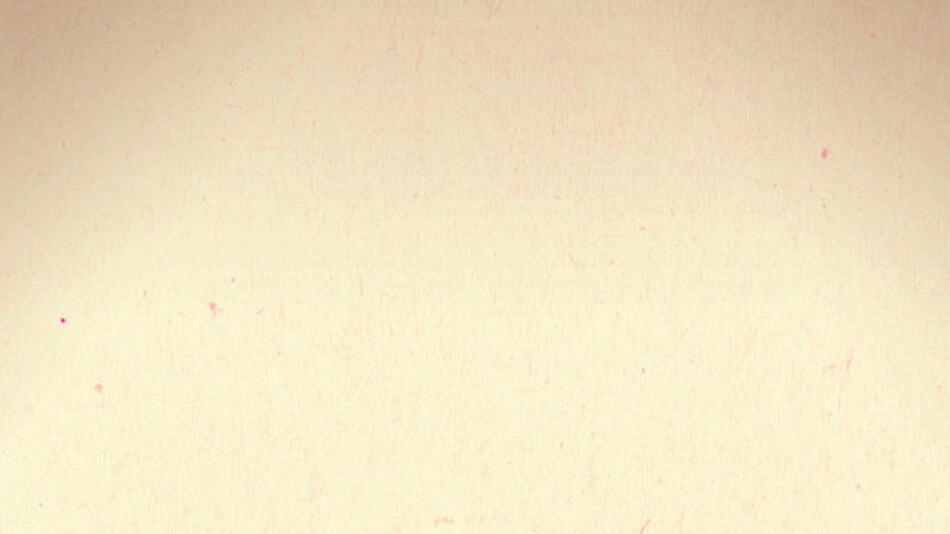 El Carnaval de antaño