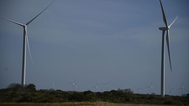 Luz verde para eólica y solar