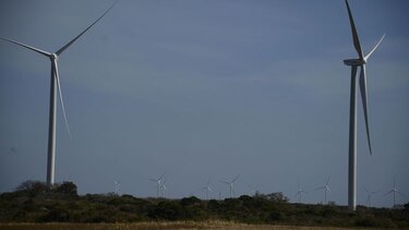 Luz verde para eólica y solar
