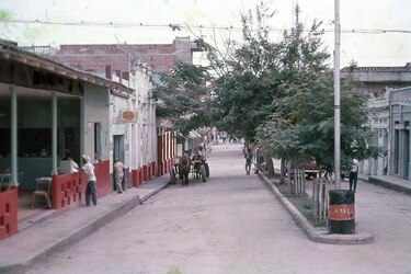 Diario de viaje: del río Magdalena al umbral de San Blas