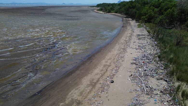 Panamá y el medio ambiente: las propuestas en la carrera presidencial