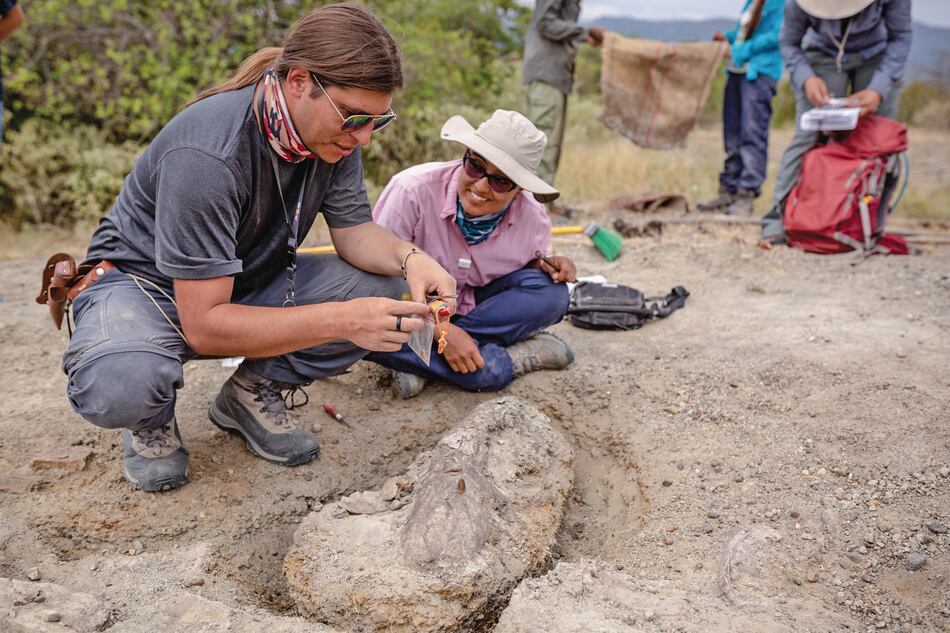 Hallan fósil del extinto marsupial dientes de sable